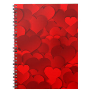 Carnet Texture de Red Heart