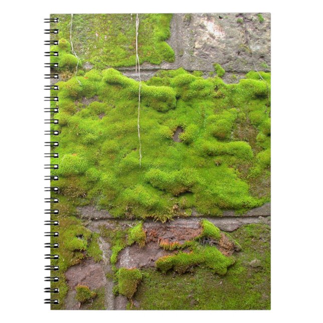 Carnet texture de roche verte murale (Devant)