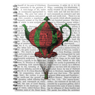 Carnet Théière 2 de vol rouge et verte