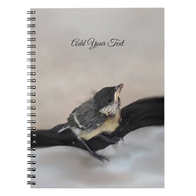Carnet Tidi my Bird le Parus Major (Devant)