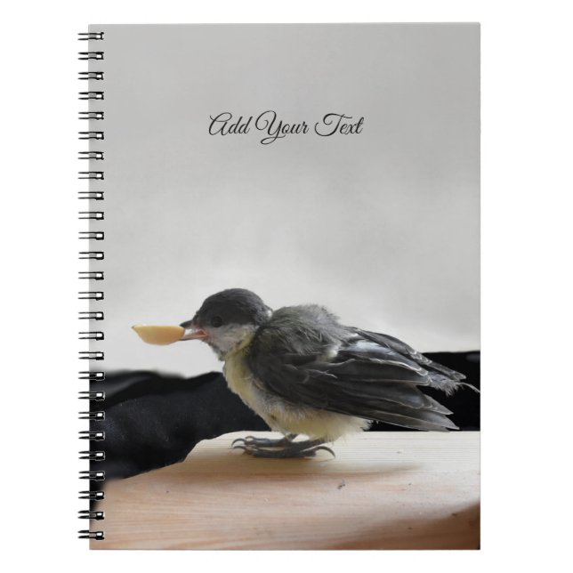 Carnet Tidi my Bird le Parus Major (Devant)