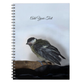 Carnet Tidi my Bird le Parus Major