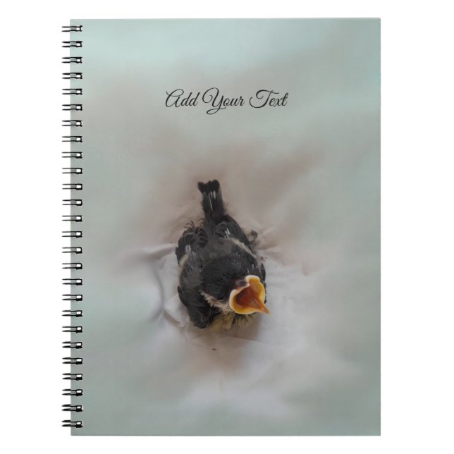 Carnet Tidi my Bird le Parus Major (Devant)