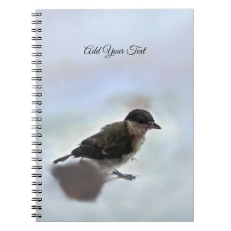 Carnet Tidi my Bird le Parus Major