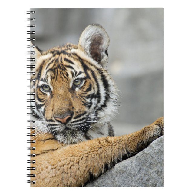 Carnet Tiger017 (Devant)