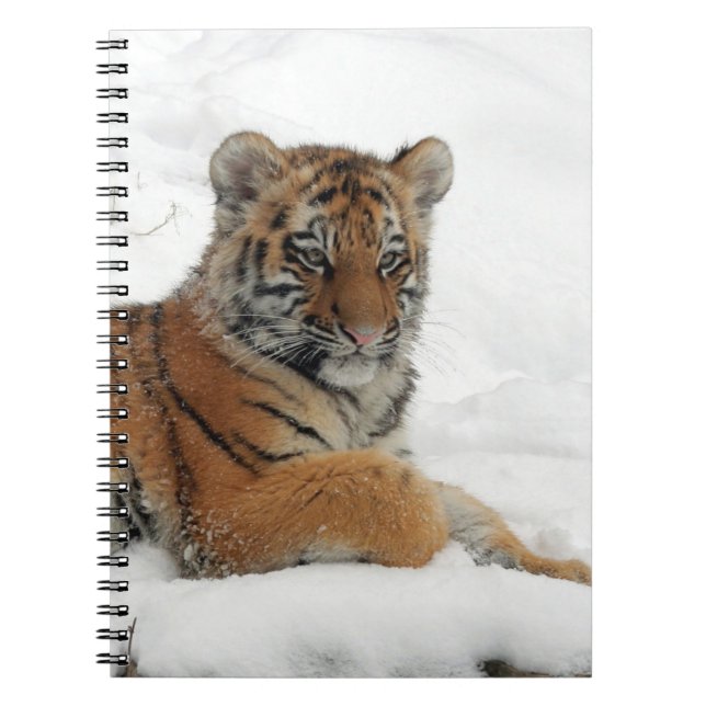 Carnet Tiger_2015_0102 (Devant)