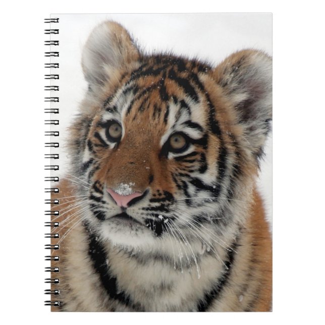 Carnet Tiger_2015_0114 (Devant)