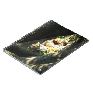 Carnet Tiger Catnap