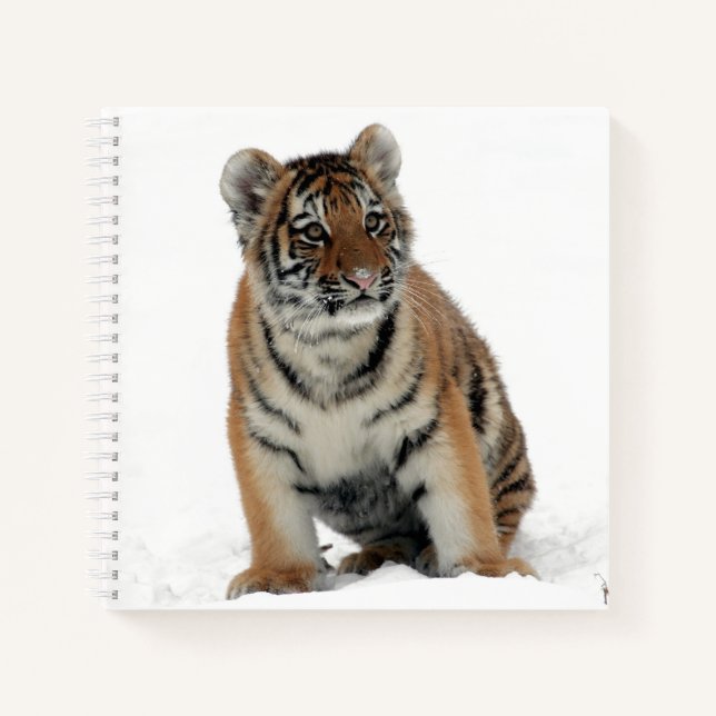 Carnet Tiger Cub in the Snow Photograph (Devant)