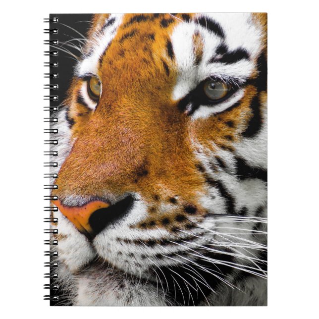 Carnet Tigre (Devant)