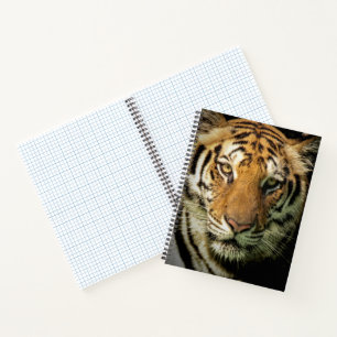 Carnet tigre