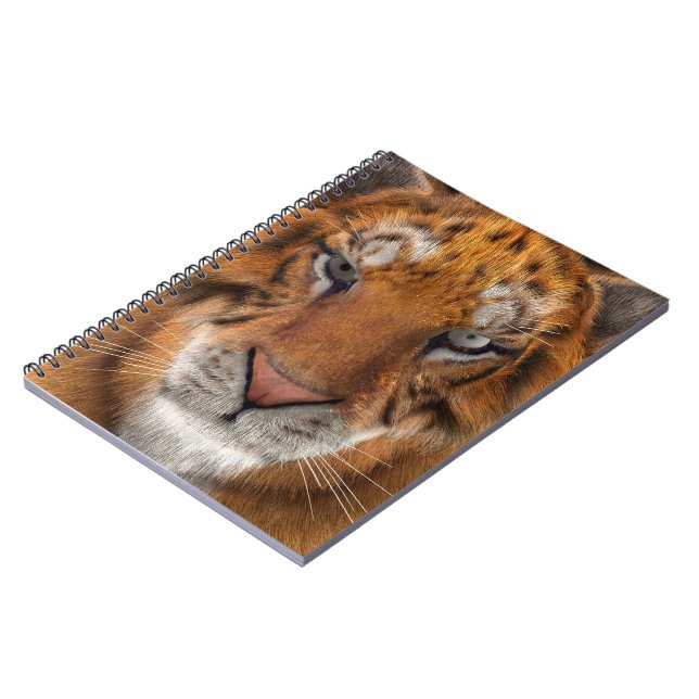 Carnet Tigre (Côté gauche)