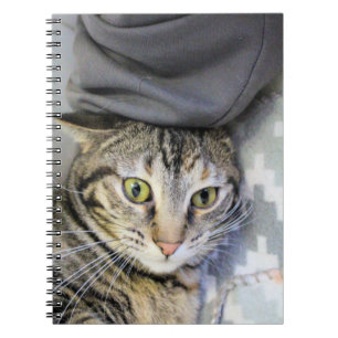Carnet Tigre