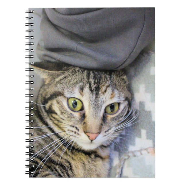 Carnet Tigre (Devant)