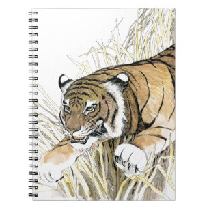 Carnet Tigre