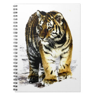 Carnet Tigre