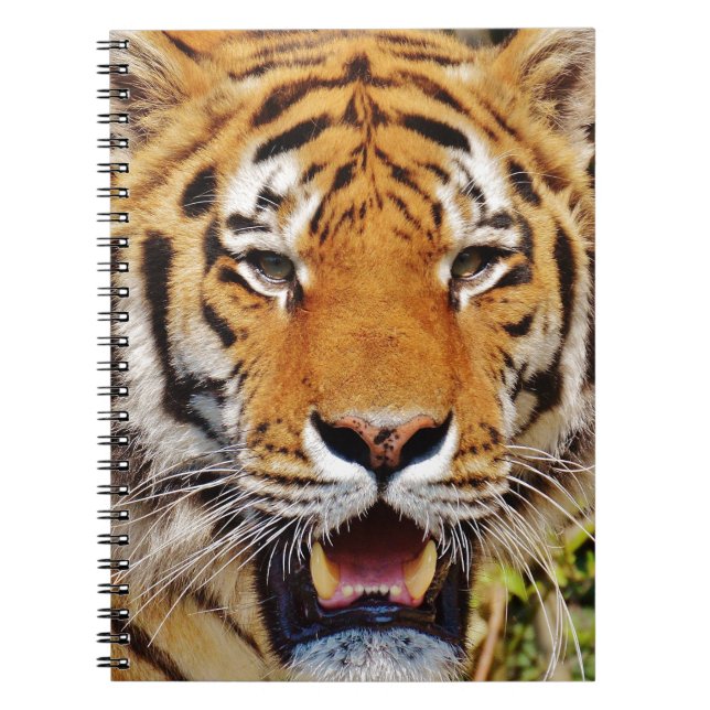 Carnet Tigre (Devant)