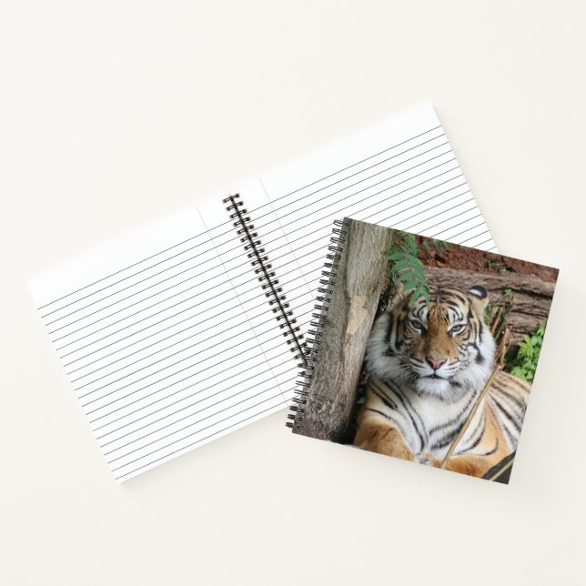 Carnet Tigre 005 (Intérieur)