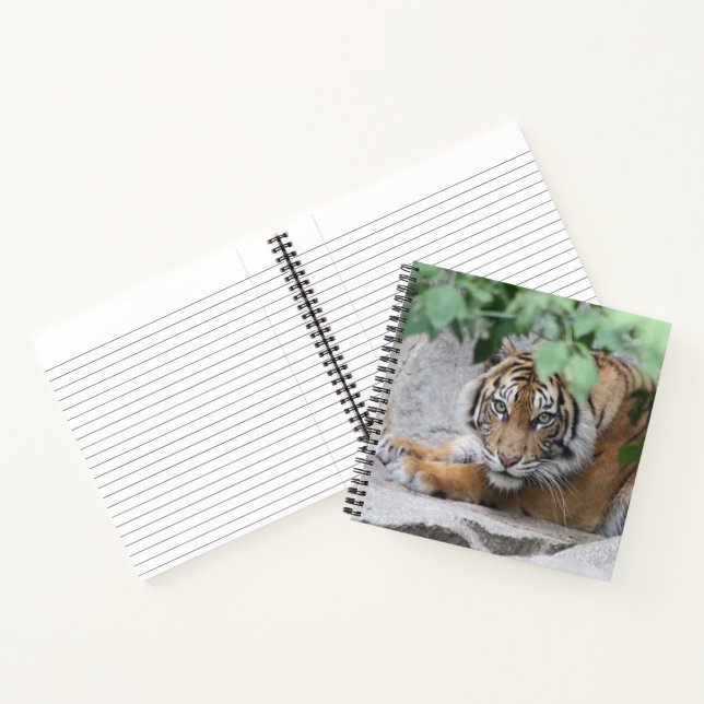 Carnet Tigre 008 (Intérieur)