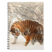 Tigre avec petit dans la neige