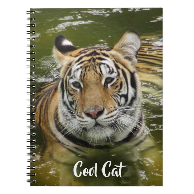 Carnet Tigre dans l'eau (Devant)