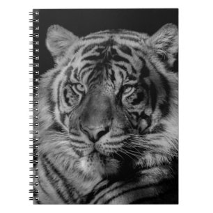 Carnet Tigre noir et blanc
