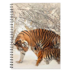 Carnet Tigres