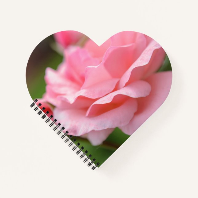 Carnet Toile emballée rose rose (Devant)