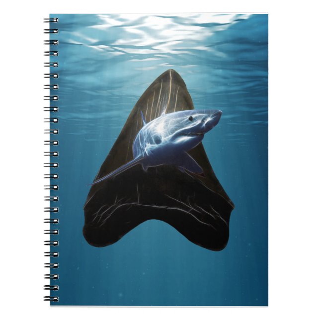 Carnet Toisse de requin Océan (Devant)