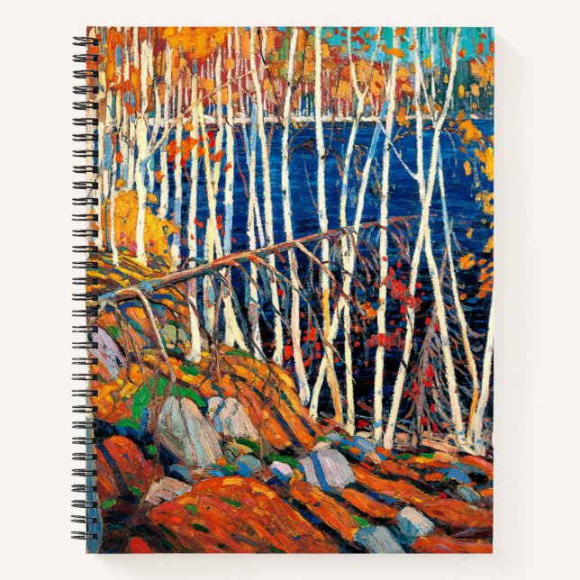 Carnet Tom Thomson - Dans les terres du Nord, (Devant)