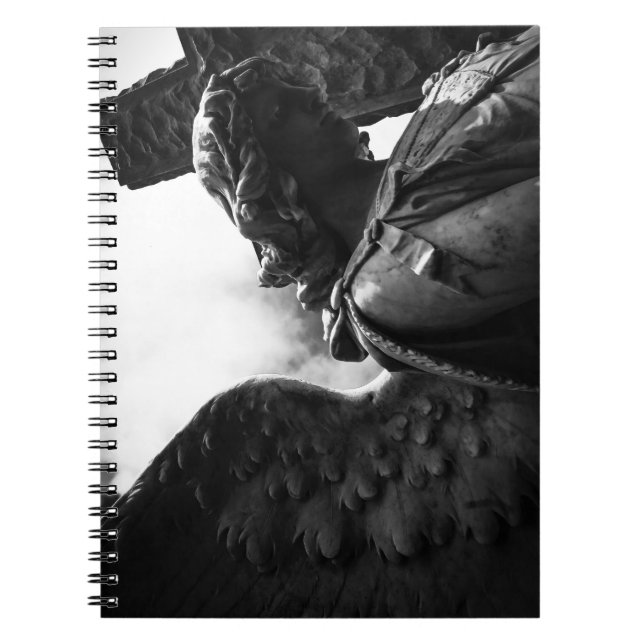 Carnet Tombé entre l'obscurité et la lumière (Devant)