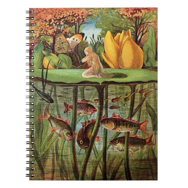 Carnet Tommelise très désolé sur la feuille de nénuphar, (Devant)