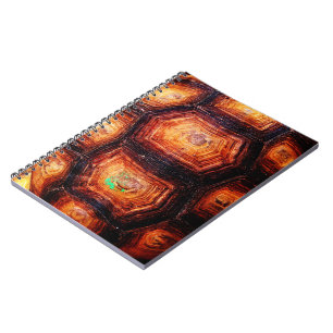 Carnet Tortois