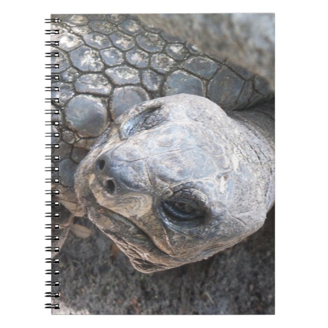 Carnet Tortoise Face (Devant)