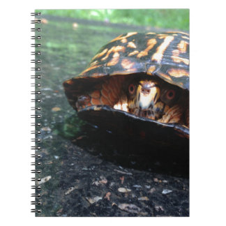 Carnet Tortue