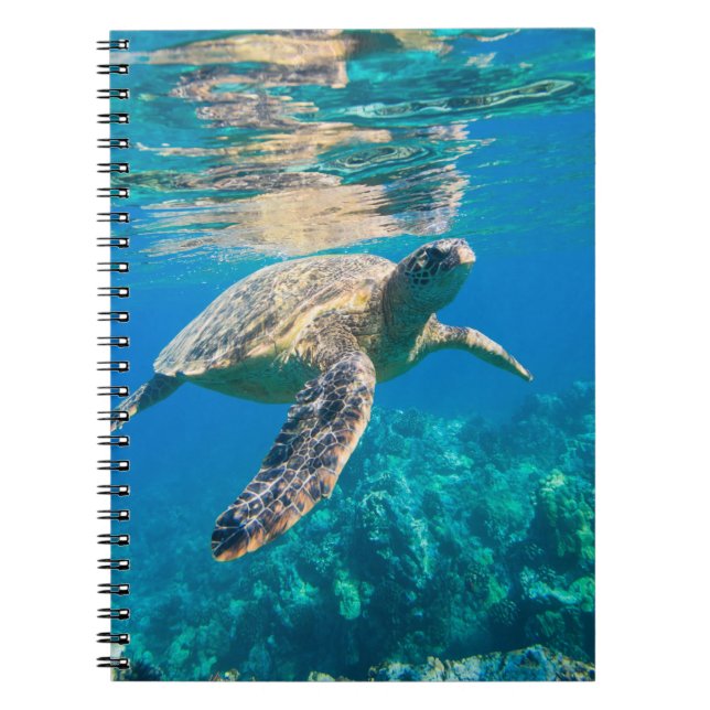 Carnet Tortue de mer (Devant)
