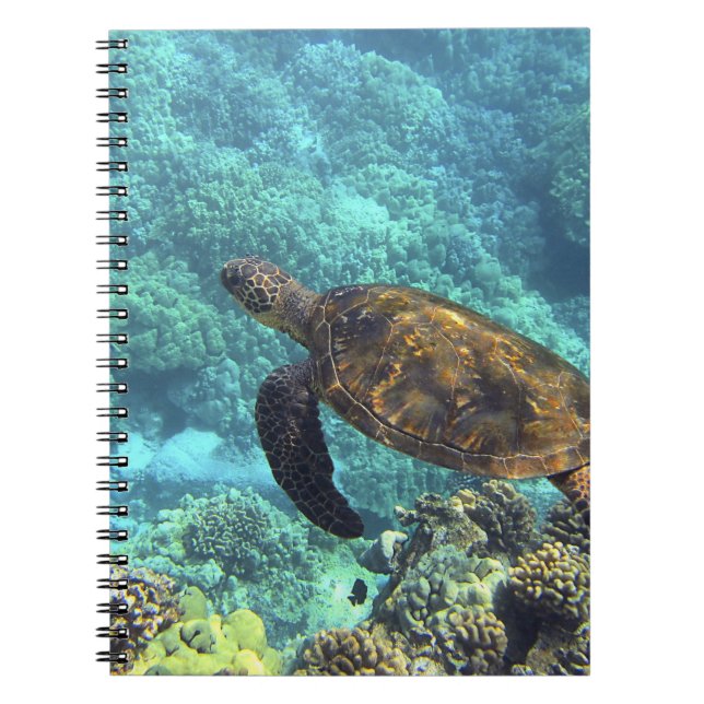 Carnet tortue de mer (Devant)