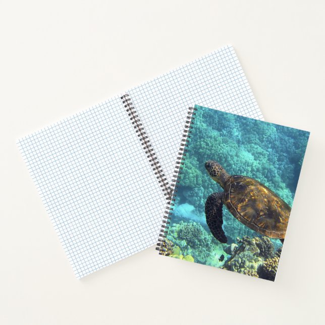 Carnet tortue de mer (Intérieur)