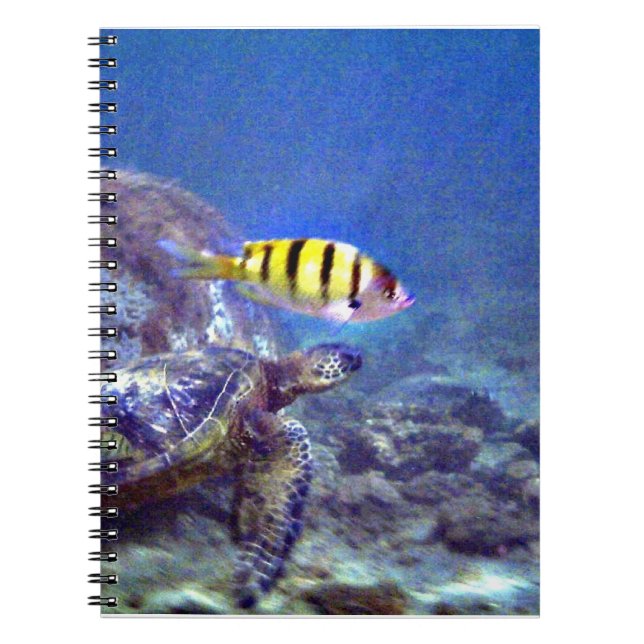 Carnet Tortue de mer (Devant)