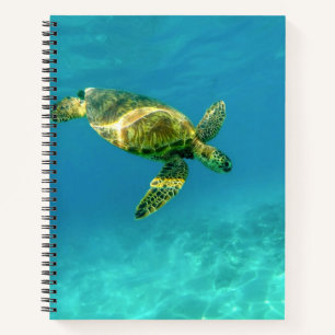 Carnet Tortue de mer nageant dans l'eau turquoise de l'oc