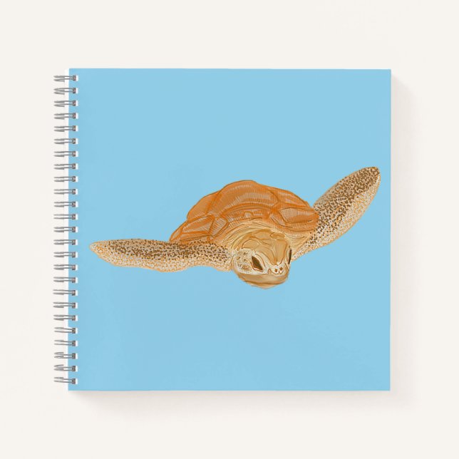 Carnet Tortue de mer sous l'eau - transparent.   (Devant)