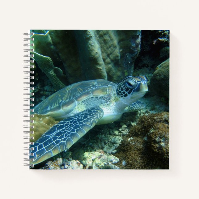 Carnet Tortue de mer sur la photo des fonds marins (Devant)