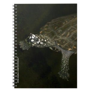 Carnet Tortue de natation