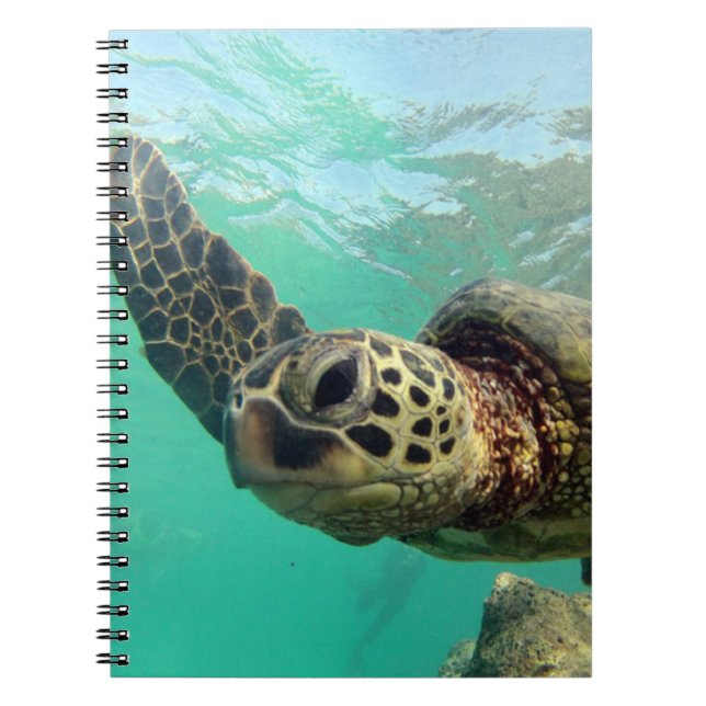 Carnet Tortue d'Hawaï de baie de Hanauma (Devant)