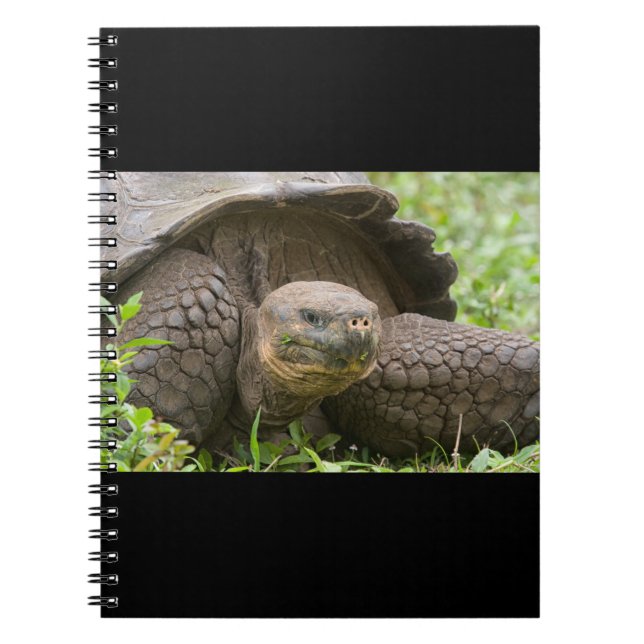 Carnet Tortue géante (Devant)