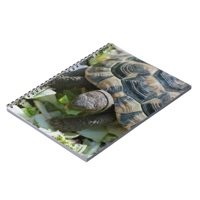 Carnet Tortue mignonne (Côté gauche)
