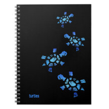 Tortues de l'eau bleue