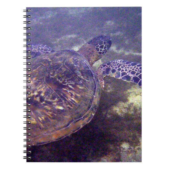 Carnet Tortues de mer hawaïennes (Devant)