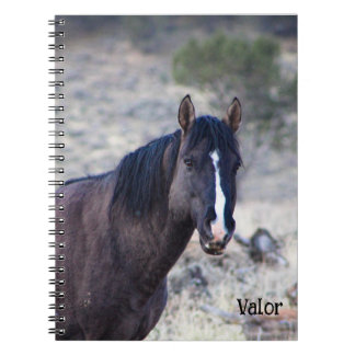 Carnet Tote des Stallions S Steens