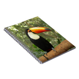 Carnet Toucan sur branche d'arbre
